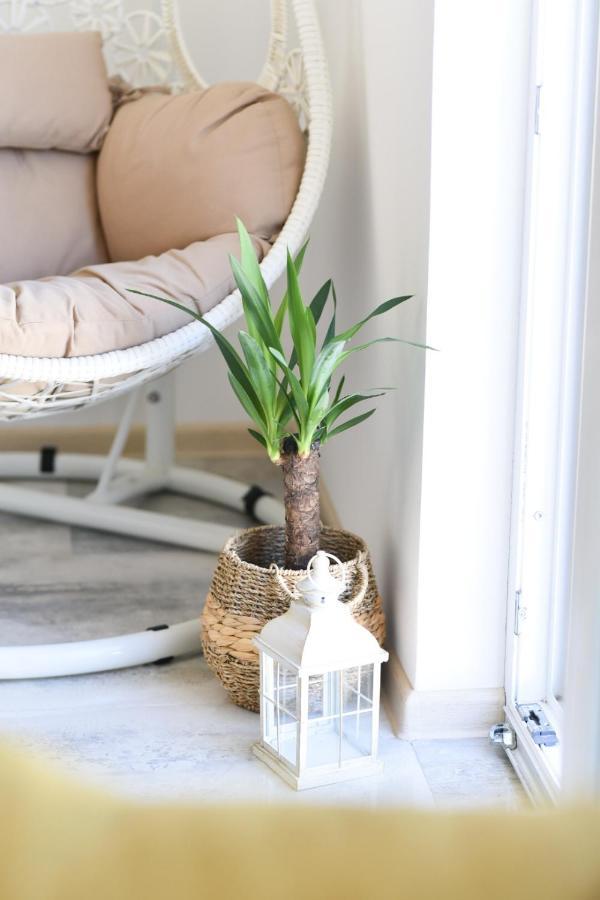 Apartment Pappy Novi Sad